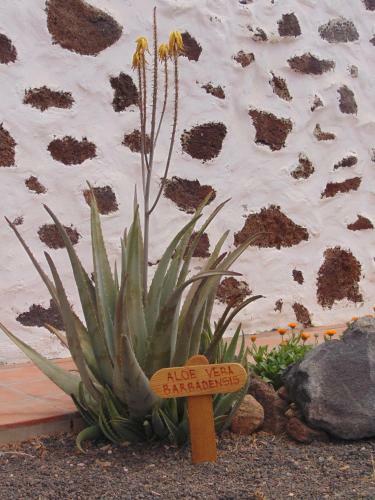 Agroturismo Casa Rural Soleario