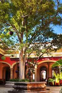 Hotel Gran Casa Sayula Galeria & Spa