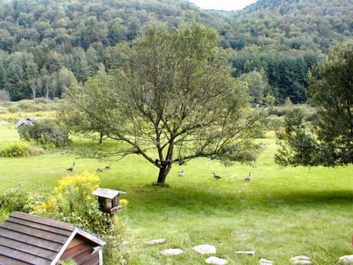 Bed & Breakfast Mountain Valley Retreat