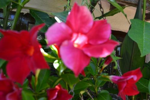 Agroturismo Finca El Lance