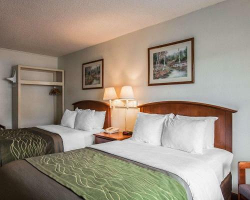 Hotel Comfort Inn On The River - Cherokee