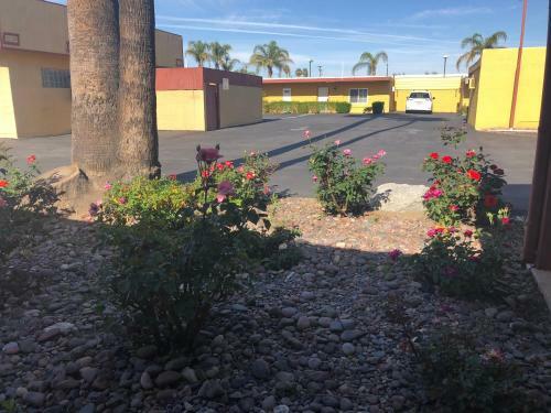 Motel Royal Inn And Suites