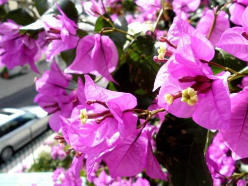 Apartamento Lisbonbreak - Sintra