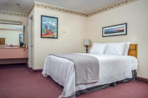 Norseman Inn And Motel