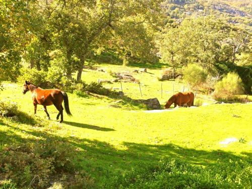Agroturismo Quinta Do Marvao
