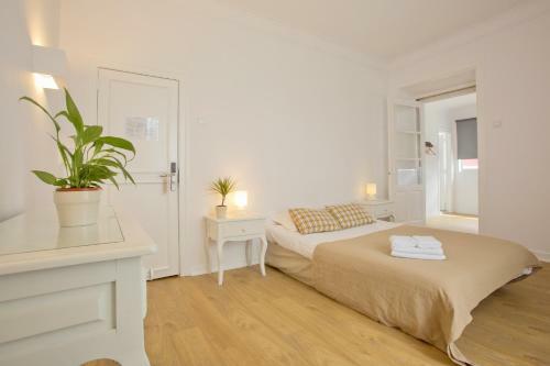 Hostal Amar Hostel & Suites