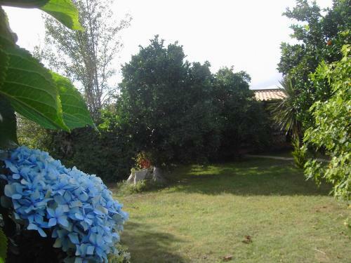 Hostal Casa De Sao Joao
