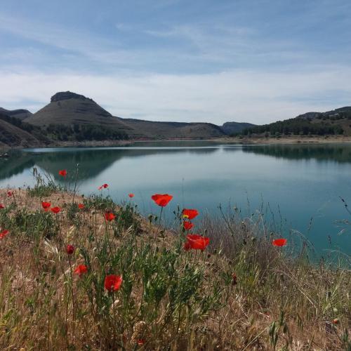 Agroturismo Valle Del R�o Piedra