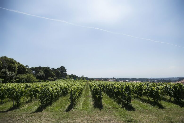Agroturismo Quinta Do Paco D'anha