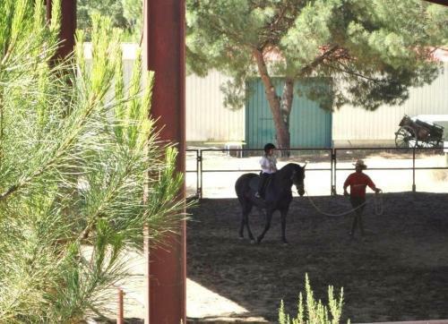 Agroturismo Coudelaria Vale Pau