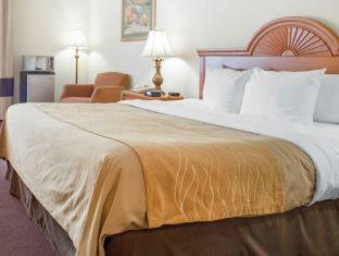 Hotel Comfort Inn New Castle