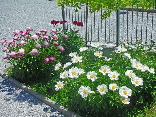 Bed & Breakfast Affittacamere Mammanella