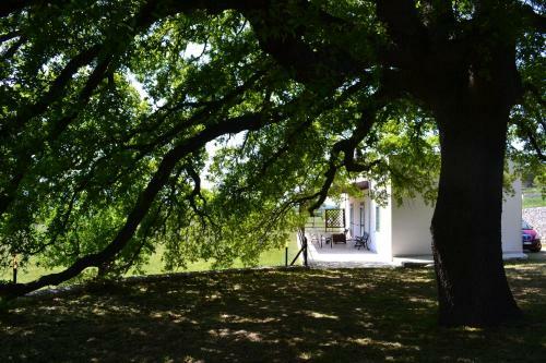 Agroturismo Masseria Torricella