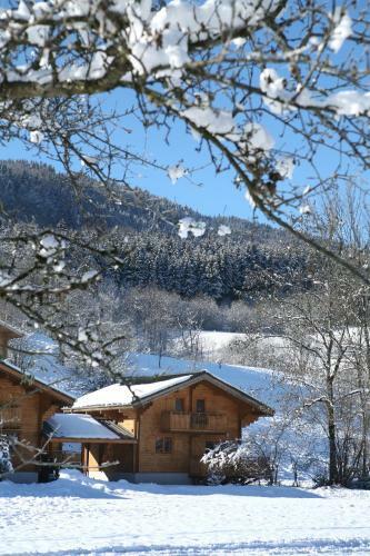 R�sidence N�m�a Les Chalets Du Bois De Champelle