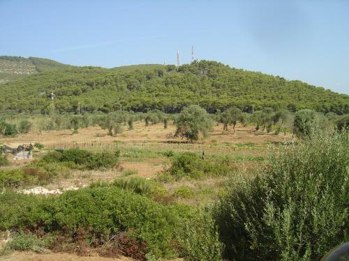 Apartamento Villa Rosanna