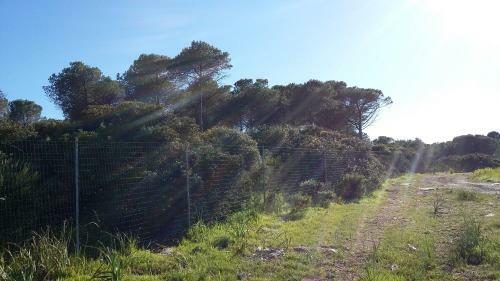 Apartamento Villa Rosanna