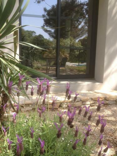 Bed & Breakfast New Cabanon