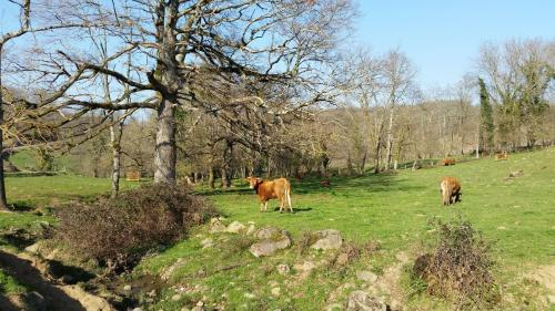 Bed & Breakfast La Ferme De Jeanne