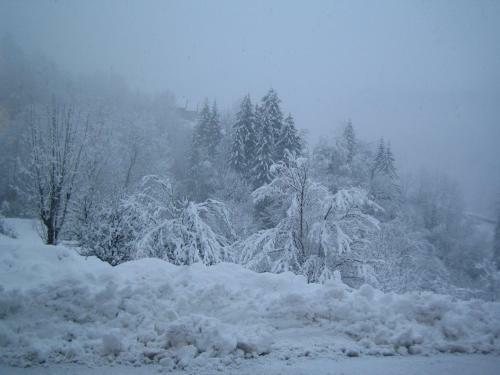 Bed & Breakfast La Chouette � L'heure Du Pinson