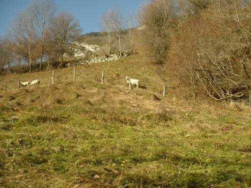 Bed & Breakfast La Chouette � L'heure Du Pinson
