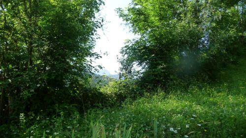 Bed & Breakfast La Chouette � L'heure Du Pinson