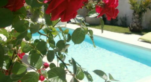 Bed & Breakfast La Maison Du Baloir