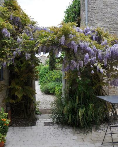 Bed & Breakfast La Maison Du Baloir