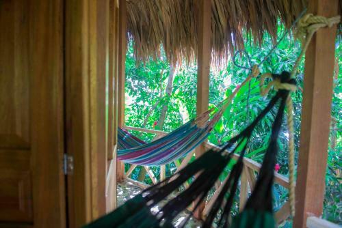 Lodge Posadas Ecoturisticas Seineken