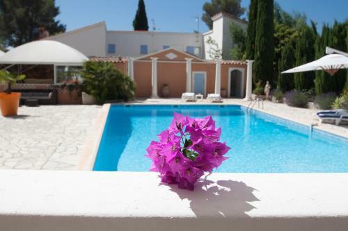 Apartamento Appartement La Potini�re