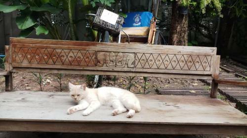 Posada Baan Rare Guesthouse