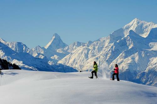 Alpenblick Wellnesshotel