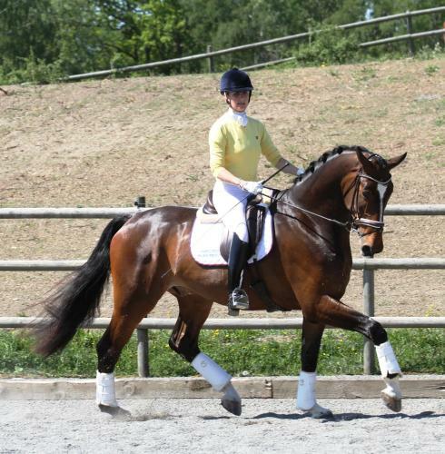 Agroturismo Brol�ten Konferens