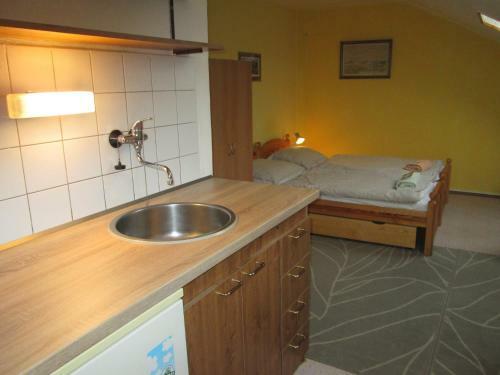 Hostal Penzion A Kavarna U Holubu