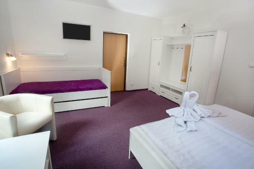 Hostal Penzion Harmonie Rohanov