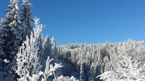 Hostal Penzion Restaurant Pod Boub�nem