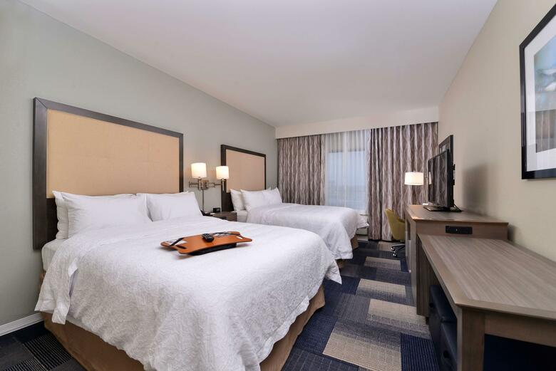 Hotel Hampton Inn Broussard-lafayette
