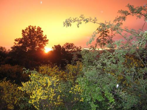Bed & Breakfast Chambres D'h�tes Le Tournesol