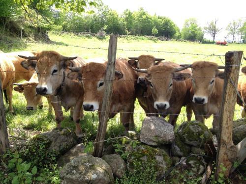 Bed & Breakfast Chambres D'h�tes Le Tournesol