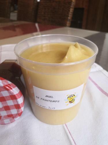 Bed & Breakfast Chambre D'h�tes Les Cam�lias