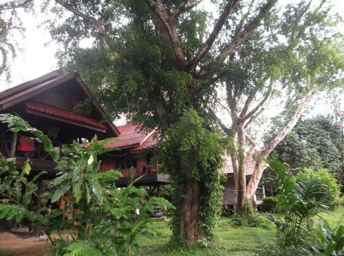 Bamboo House