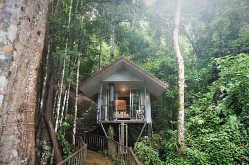 Hotel Rock And Tree House Resort