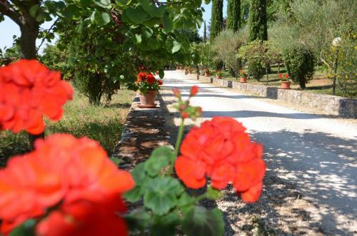 Apartamento Casale Santa Caterina