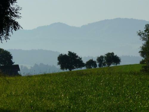 Agroturismo Andreashof