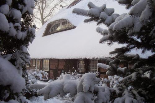 Hotel Heidehof Moraas