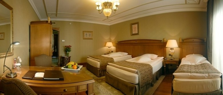 Hotel The Central Palace