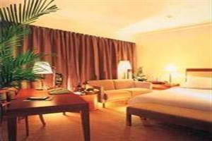 Hotel International