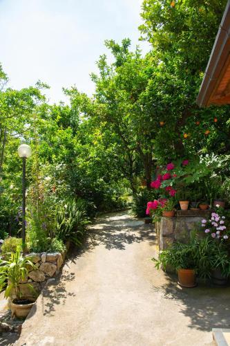 Bed & Breakfast L' Arancio In Fiore
