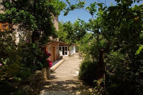 Bed & Breakfast L' Arancio In Fiore