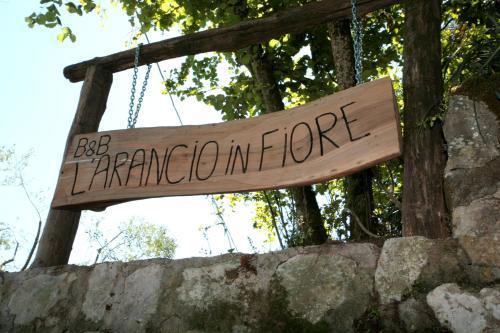 Bed & Breakfast L' Arancio In Fiore