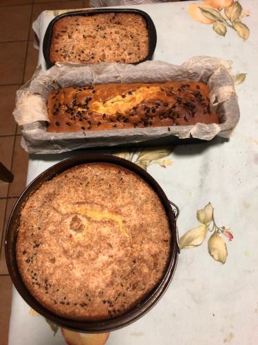 Bed & Breakfast L' Arancio In Fiore